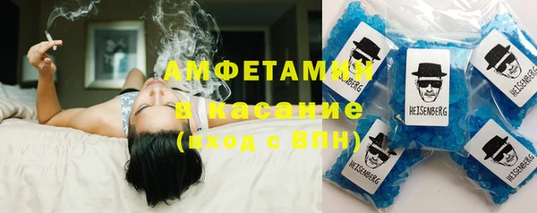 стаф Вязьма
