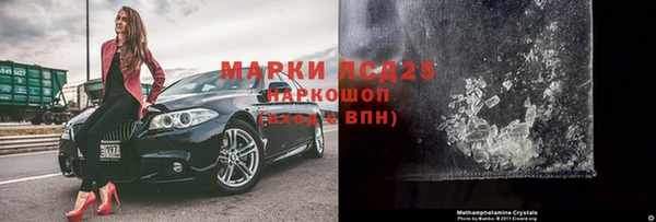 стаф Вязьма