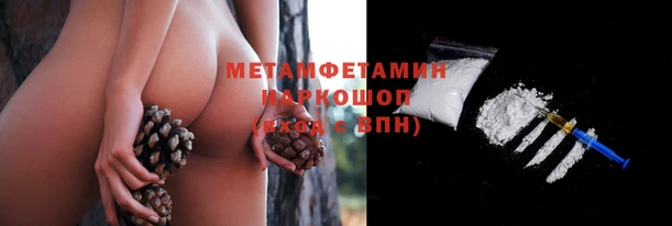 стаф Вязьма