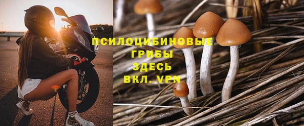 стаф Вязьма