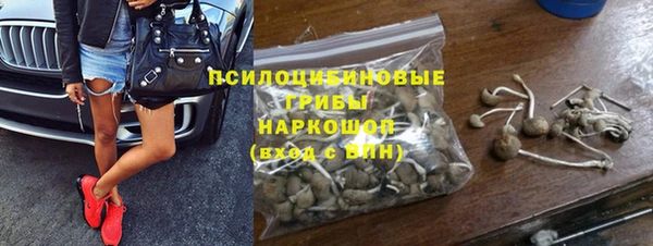 не бодяженный Лабытнанги