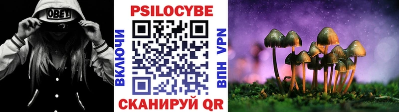 Галлюциногенные грибы мицелий  купить   Горячий Ключ 