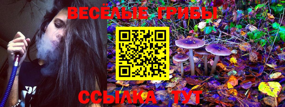 Горячий Ключ  Галлюциногенные грибы Psilocybine cubensis  Вход с VPN 
